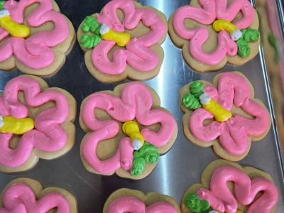 Butterfly Cookies